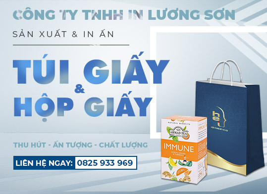 CÔNG TY TNHH IN LƯƠNG SƠN